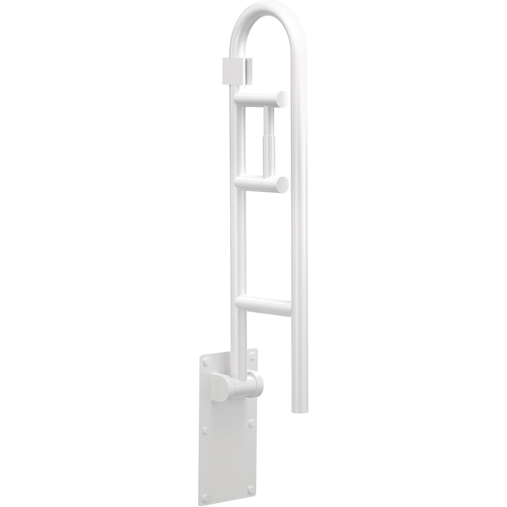 image:imageMoen Home Care Bathroom Safety 30 Inch Stainless Steel Flip Up Bathroom HandicapGrab Bar with Toilet Paper Holder Elderly Assistance Product R8962FDGlacier