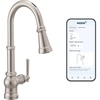 Spot Resist Stainless