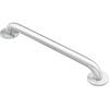 Polished Stainl