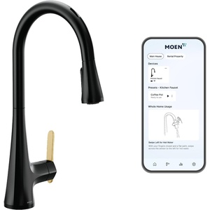 Moen Sinema Matte Black 3-in-1 Water Filtration One-Handle Pulldown Kitchen Faucet, FS7235BL with Moen F9800 Advanced Carbon Water Filtration System(Matte Black)