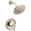 Polished Nickel