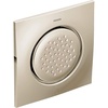 Polished Nickel