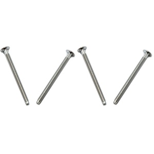 Moen 15528 Escutcheon Screws, Chrome (2-Pack)(4 Pack)
