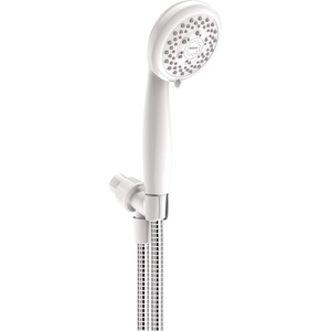 Moen 23040W Adler Eight-Function 4-Inch Diameter Spray Head Handshower Showerhead, Glacier