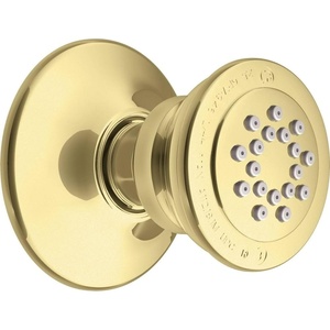 Moen A501P Body Spray for M-PACT System, Polished Brass